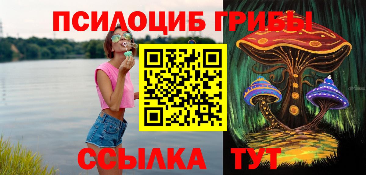 Псилоцибиновые грибы Psilocybine cubensis Азнакаево