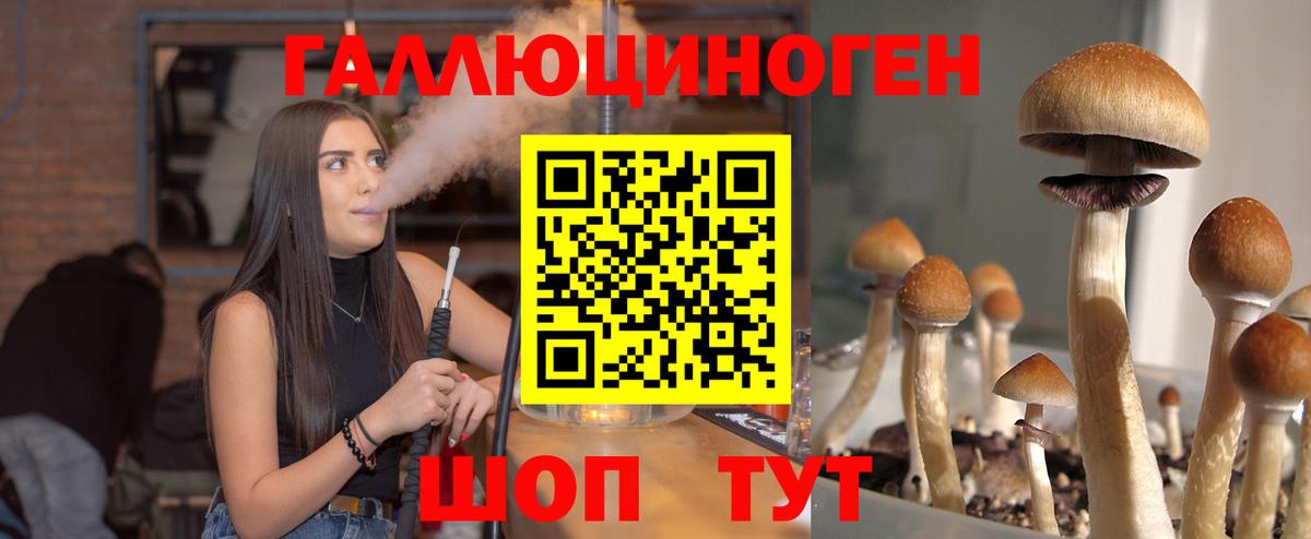 Галлюциногенные грибы GOLDEN TEACHER  Вход с VPN  Азнакаево  Псилоцибиновые грибы мицелий 